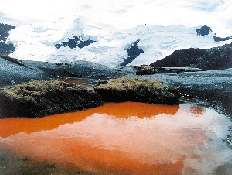 Apolobamba Cordillera, Bolivia,
red algae in pond. 
Bolivian Times is offline.